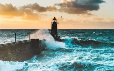 A Safe Harbor Trust Offers Security, Peace of Mind