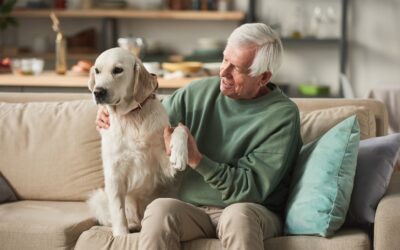 Protecting Your Pets After You Die Requires Intentional Estate Planning